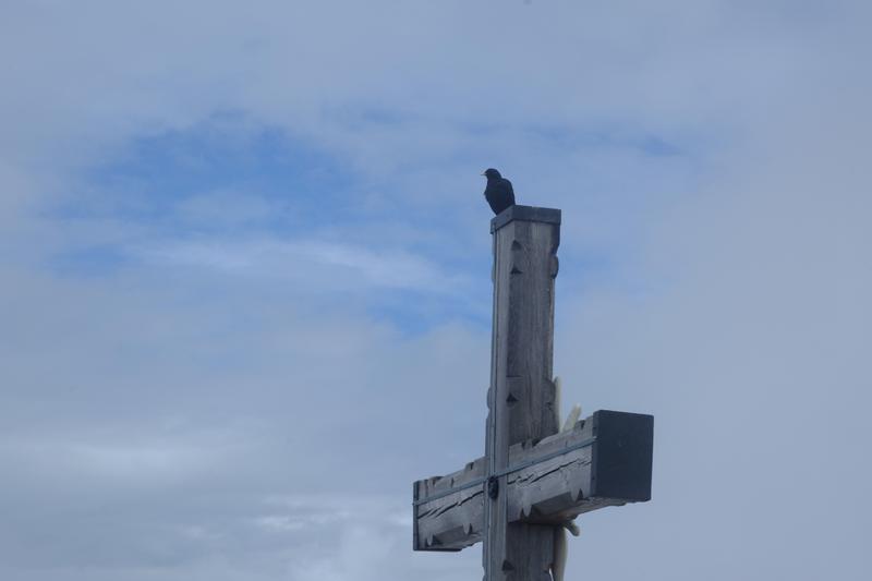 Un corbeau sur un croix