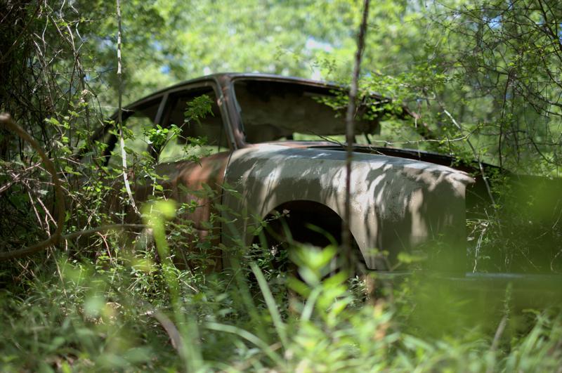 Une épave de voiture abandonnée en pleine forêt