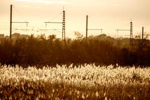 La voie ferrée longeant la nature