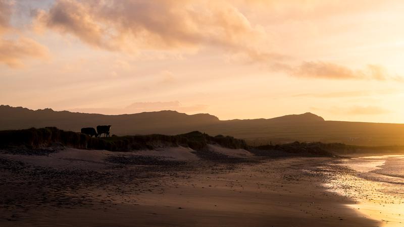 Le coucher de Soleil sur Wine strand