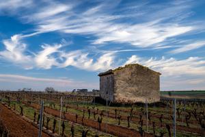 Nuage en forme d'hélice, vignes rayées