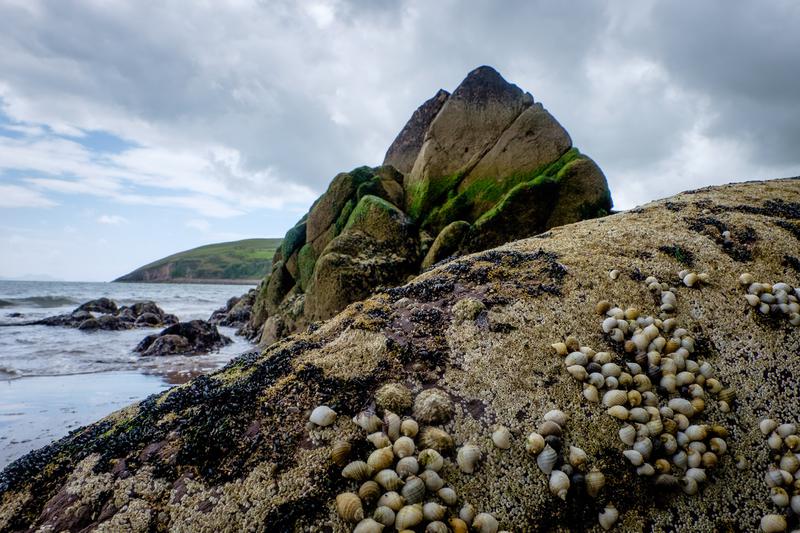 Rochers sur la plage de Minard