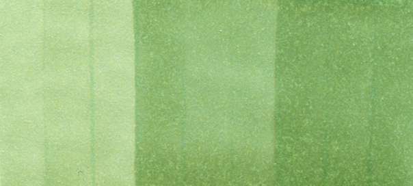 G24 ink swatch scan