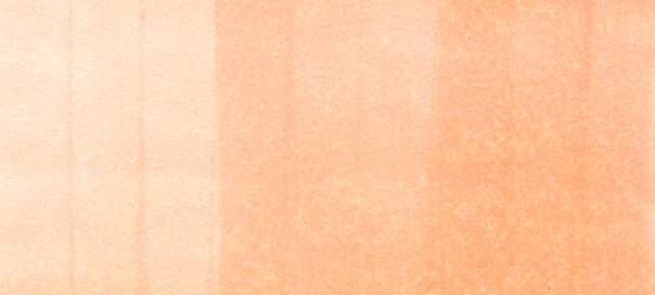 R12 ink swatch scan