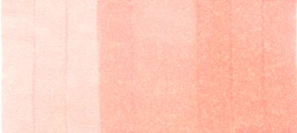 R20 ink swatch scan