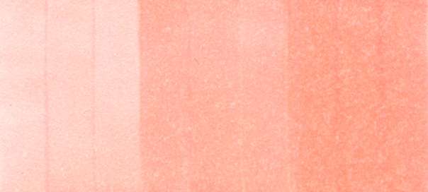 R21 ink swatch scan